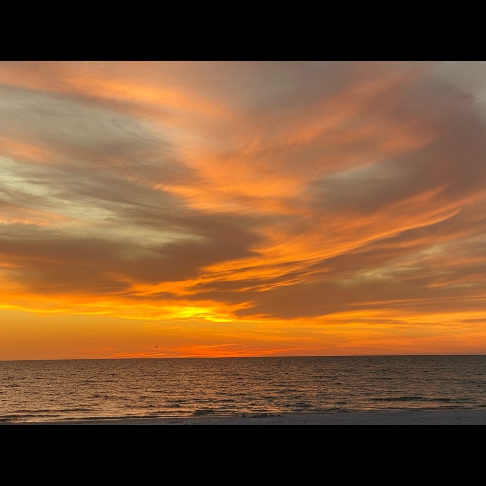 Meet your Posher, Carla